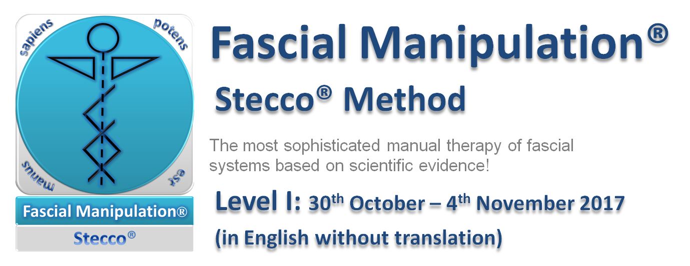 Fascial Manipulation Stecco Method - Brasil